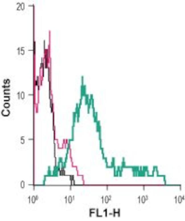 EAAT1 (GLAST) (extracellular) Antibody in Flow Cytometry (Flow)