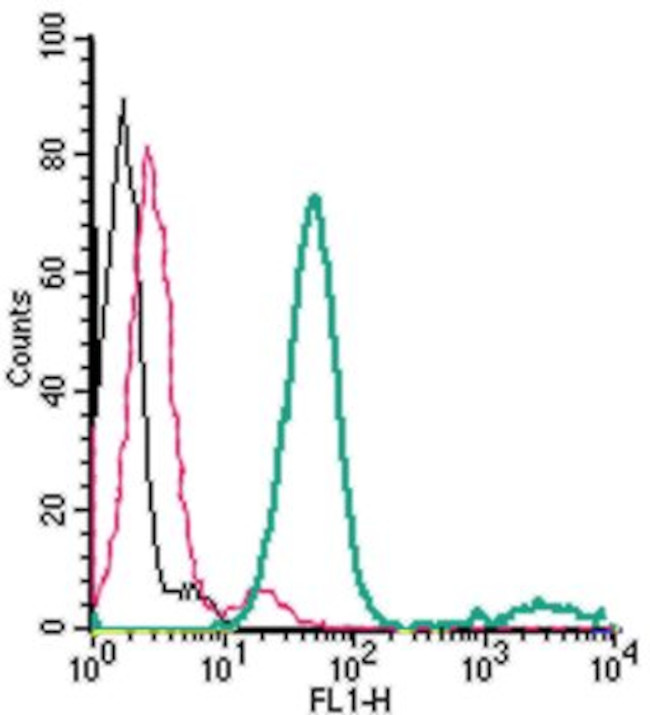 EAAT1 (GLAST) (extracellular) Antibody in Flow Cytometry (Flow)