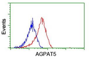 AGPAT5 Antibody in Flow Cytometry (Flow)