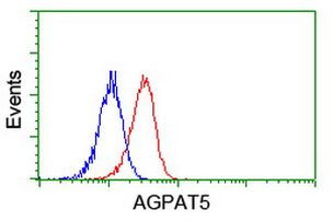 AGPAT5 Antibody in Flow Cytometry (Flow)