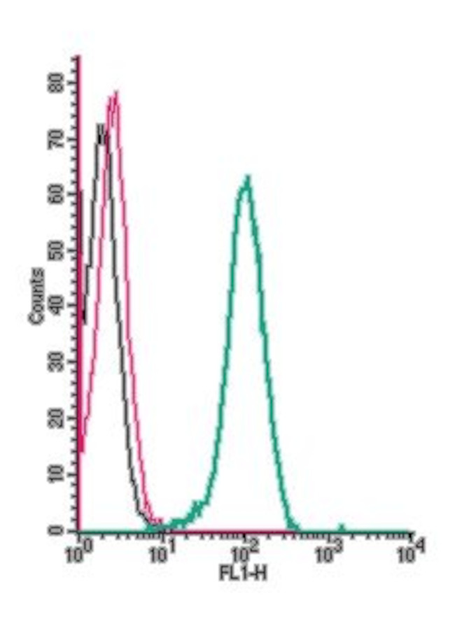 GLP2R (extracellular) Antibody in Flow Cytometry (Flow)