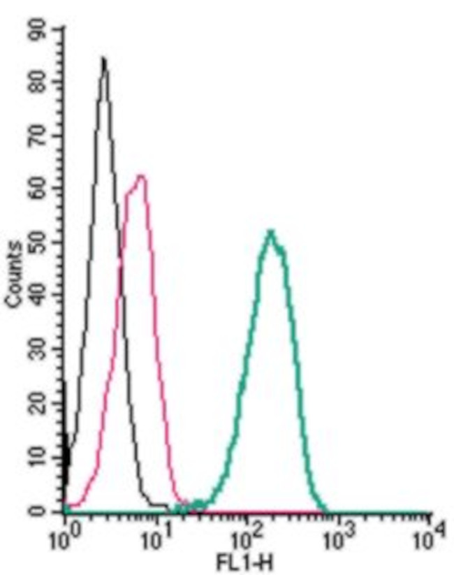 Ghrelin Receptor (GHSR) (extracellular) Antibody in Flow Cytometry (Flow)