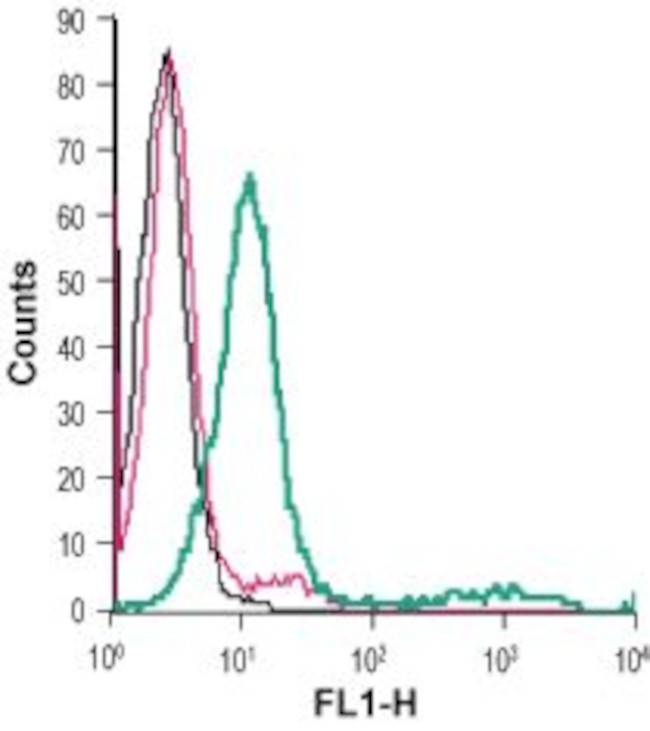 GPR65 (TDAG8) (extracellular) Antibody in Flow Cytometry (Flow)