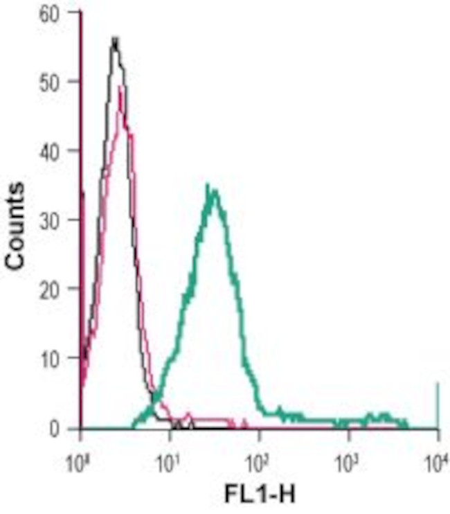 GPR65 (TDAG8) (extracellular) Antibody in Flow Cytometry (Flow)