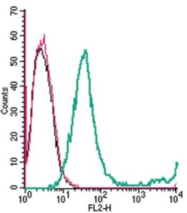 GPR65 (TDAG8) (extracellular) Antibody in Flow Cytometry (Flow)