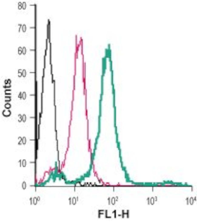 GPR84 (extracellular) Antibody in Flow Cytometry (Flow)