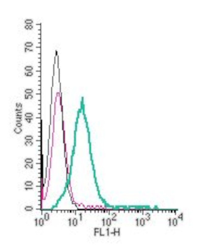 GPR174 (extracellular) Antibody in Flow Cytometry (Flow)