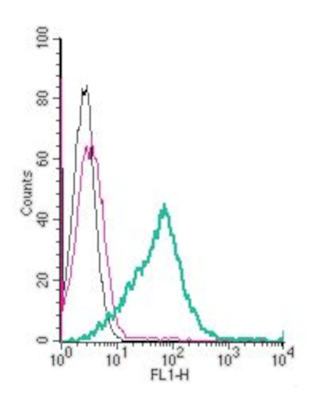 GPR174 (extracellular) Antibody in Flow Cytometry (Flow)