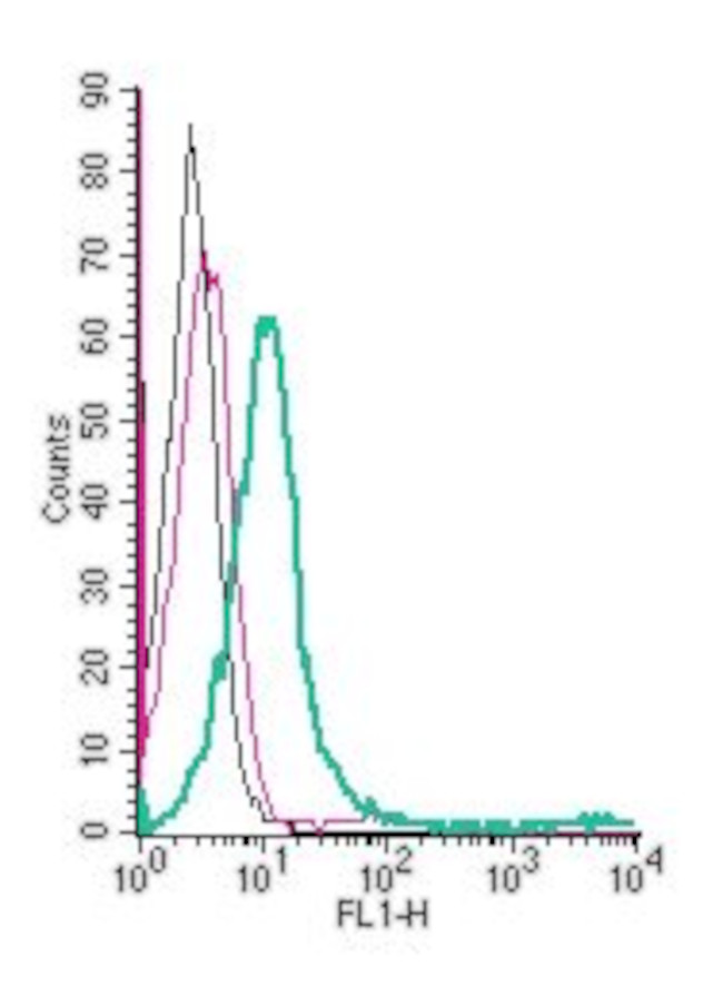 GPR174 (extracellular) Antibody in Flow Cytometry (Flow)