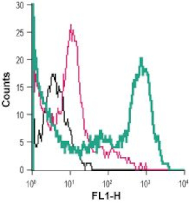 GLUT3 (extracellular) Antibody in Flow Cytometry (Flow)