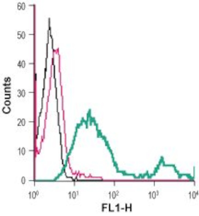 GLUT1 (extracellular) Antibody in Flow Cytometry (Flow)