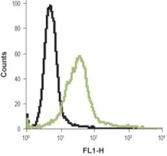 Histamine H2 Receptor (HRH2) (extracellular) Antibody in Flow Cytometry (Flow)