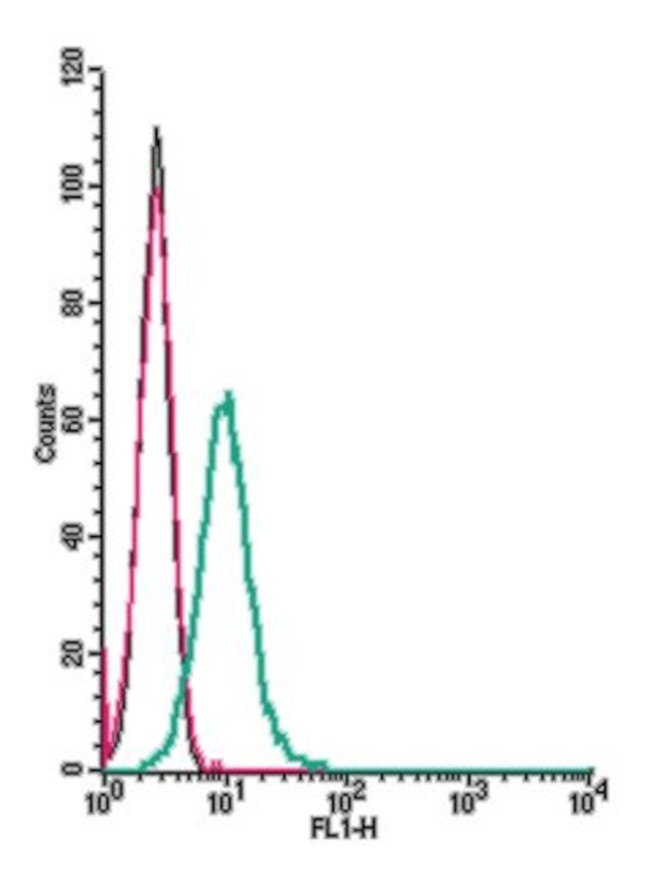 Histamine H4 Receptor (HRH4) (extracellular) Antibody in Flow Cytometry (Flow)