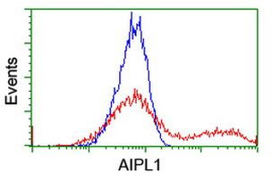 AIPL1 Antibody in Flow Cytometry (Flow)