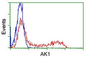 AK1 Antibody in Flow Cytometry (Flow)