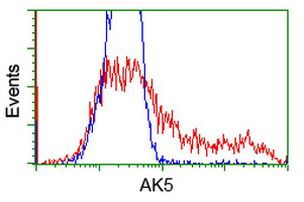 AK5 Antibody in Flow Cytometry (Flow)