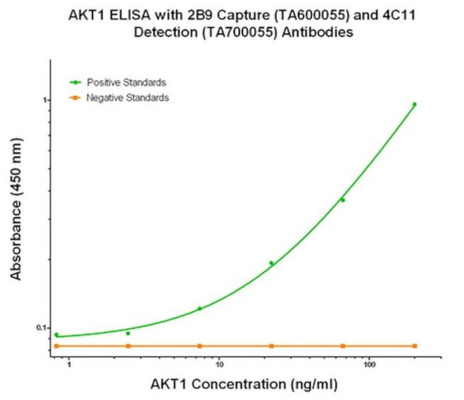 AKT1 Antibody in ELISA (ELISA)