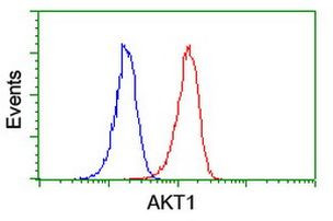 AKT1 Antibody in Flow Cytometry (Flow)