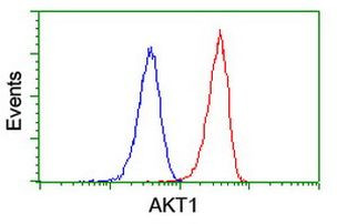 AKT1 Antibody in Flow Cytometry (Flow)