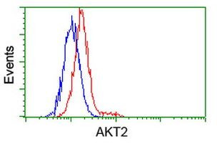 AKT2 Antibody in Flow Cytometry (Flow)