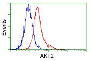 AKT2 Antibody in Flow Cytometry (Flow)