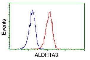 ALDH1A3 Antibody in Flow Cytometry (Flow)