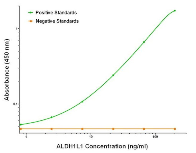 ALDH1L1 Antibody in ELISA (ELISA)