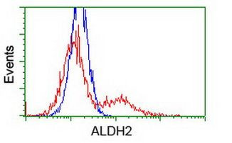 ALDH2 Antibody in Flow Cytometry (Flow)