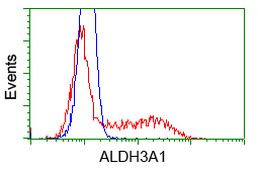 ALDH3A1 Antibody in Flow Cytometry (Flow)