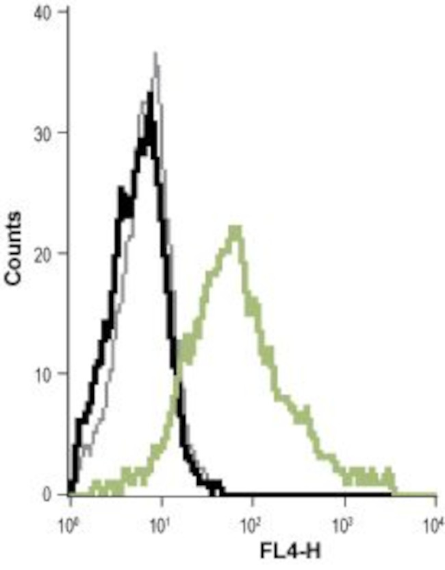 KCNN4 (KCa3.1, SK4) (extracellular) Antibody in Flow Cytometry (Flow)