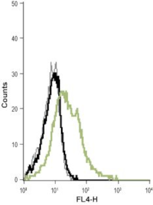 KCNN4 (KCa3.1, SK4) (extracellular) Antibody in Flow Cytometry (Flow)