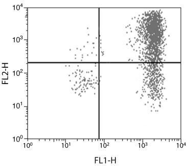 IL-6 Antibody in Flow Cytometry (Flow)