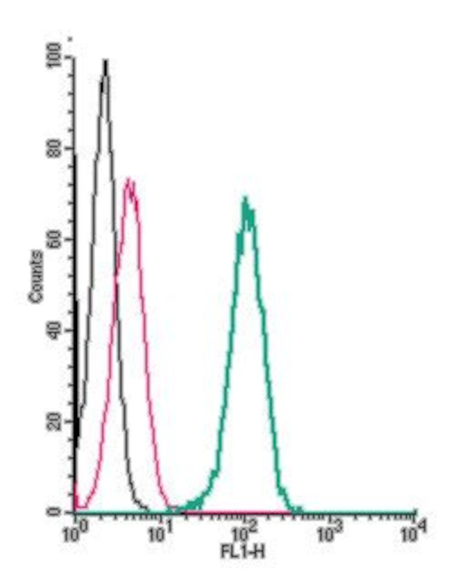 MC3 Receptor (extracellular) Antibody in Flow Cytometry (Flow)