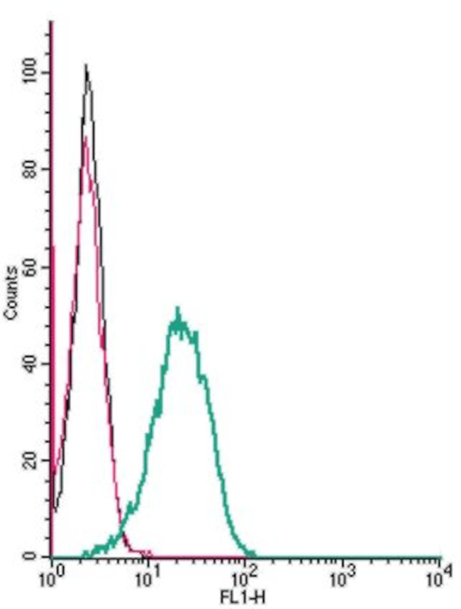 Dopamine Transporter (DAT) (extracellular) Antibody in Flow Cytometry (Flow)