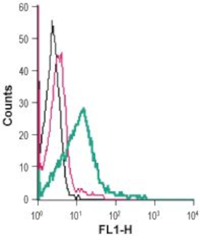 Dopamine Transporter (DAT) (extracellular) Antibody in Flow Cytometry (Flow)