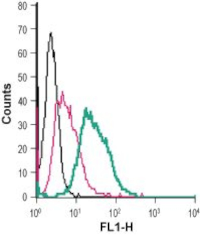 Dopamine Transporter (DAT) (extracellular) Antibody in Flow Cytometry (Flow)