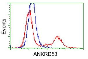 ANKRD53 Antibody in Flow Cytometry (Flow)