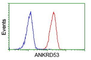 ANKRD53 Antibody in Flow Cytometry (Flow)