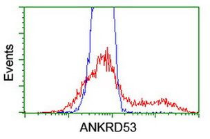 ANKRD53 Antibody in Flow Cytometry (Flow)