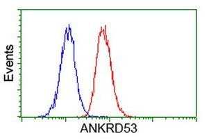 ANKRD53 Antibody in Flow Cytometry (Flow)