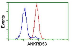 ANKRD53 Antibody in Flow Cytometry (Flow)