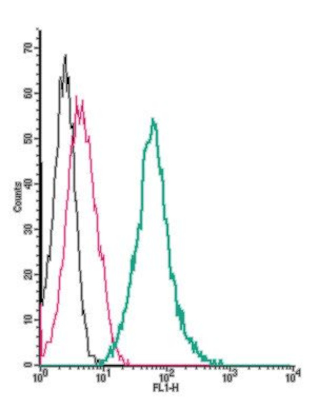 NPY1R (extracellular) Antibody in Flow Cytometry (Flow)