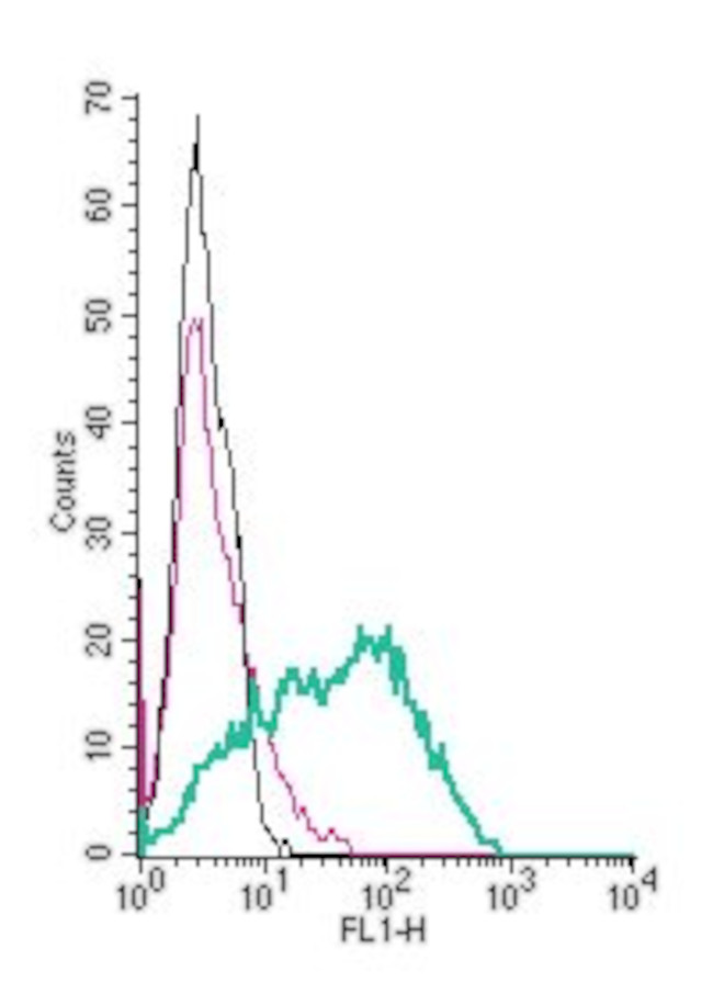 Nectin-1/PVRL1 (extracellular) Antibody in Flow Cytometry (Flow)