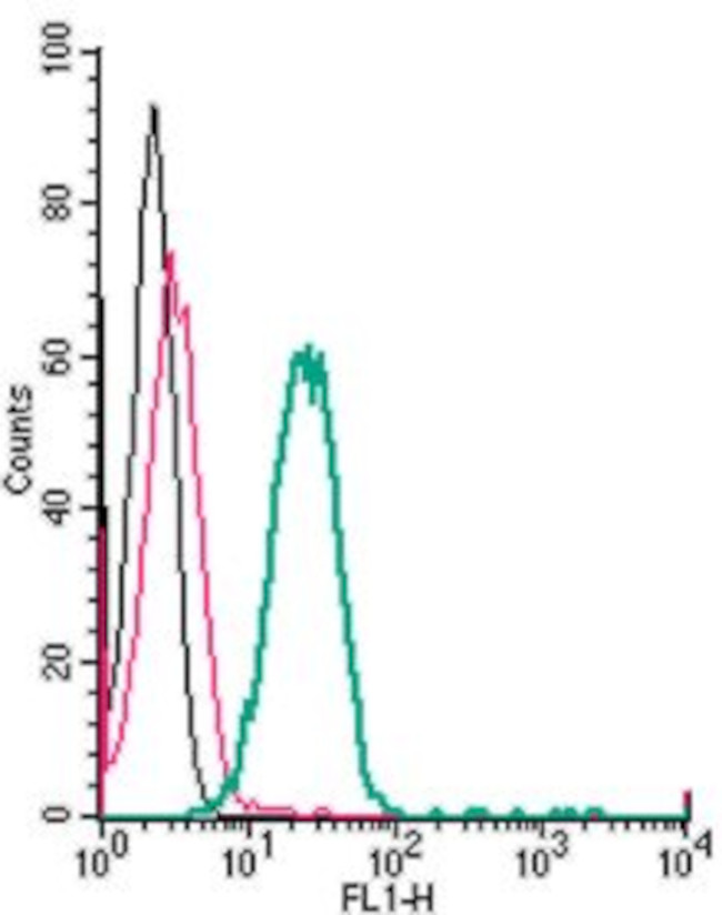 TMEM119 (extracellular) Antibody in Flow Cytometry (Flow)