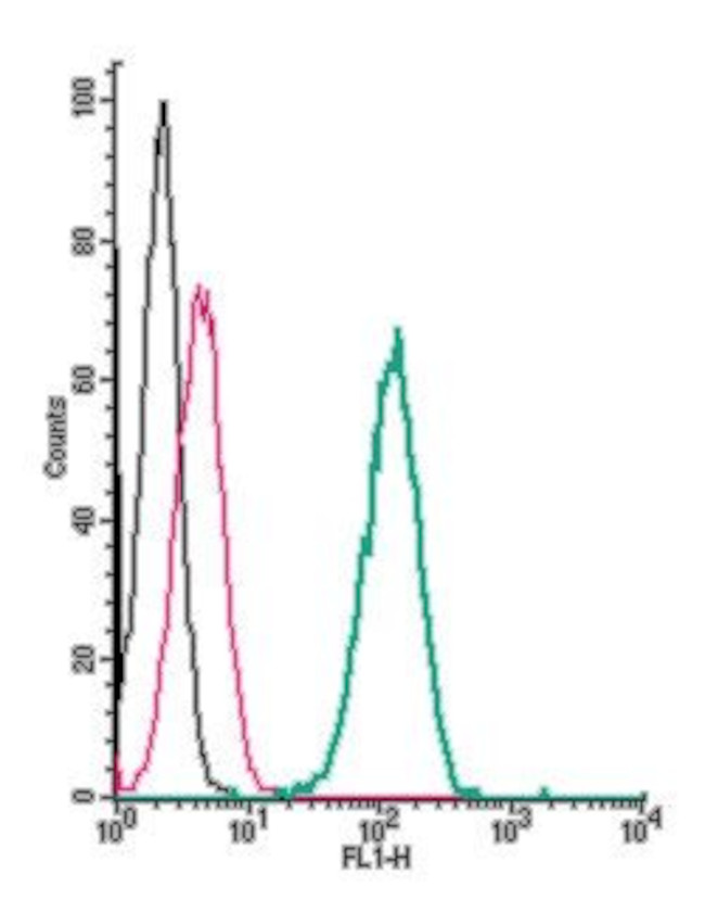 TrkA (extracellular) Antibody in Flow Cytometry (Flow)