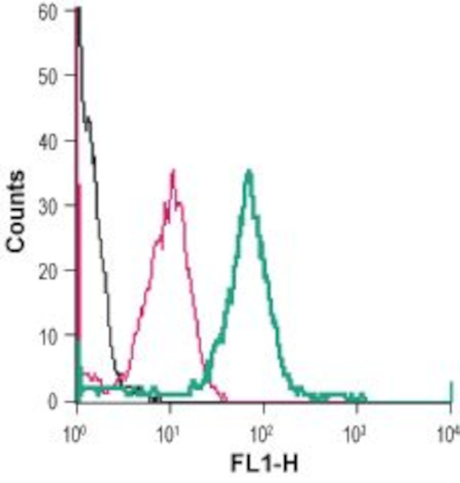 xCT/SLC7A11 (extracellular) Antibody in Flow Cytometry (Flow)