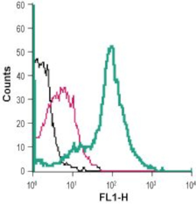 xCT/SLC7A11 (extracellular) Antibody in Flow Cytometry (Flow)