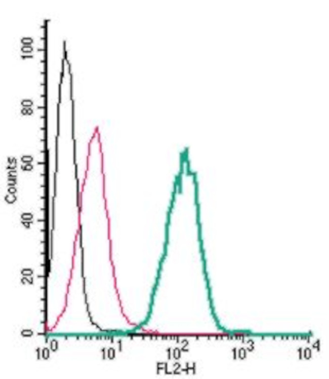 xCT/SLC7A11 (extracellular) Antibody in Flow Cytometry (Flow)