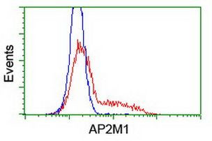 AP2M1 Antibody in Flow Cytometry (Flow)