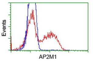 AP2M1 Antibody in Flow Cytometry (Flow)